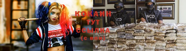 стафф Арсеньев