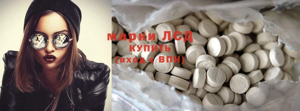 стафф Арсеньев