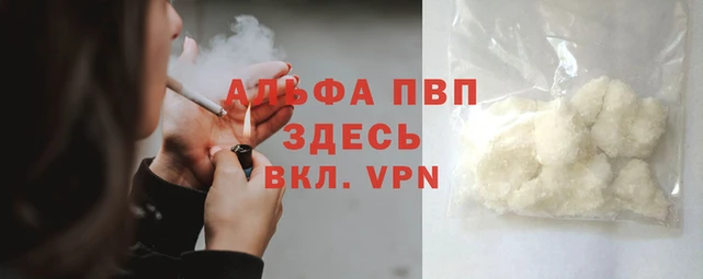 стафф Арсеньев