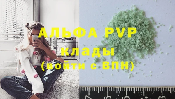 стафф Арсеньев