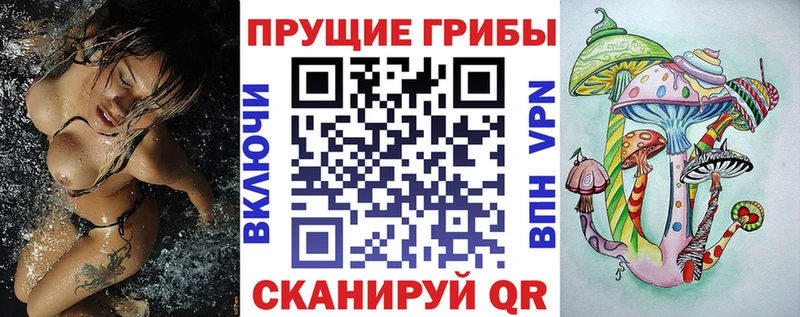 Галлюциногенные грибы Cubensis Камбарка